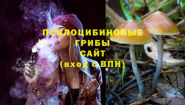 мескалин Арсеньев