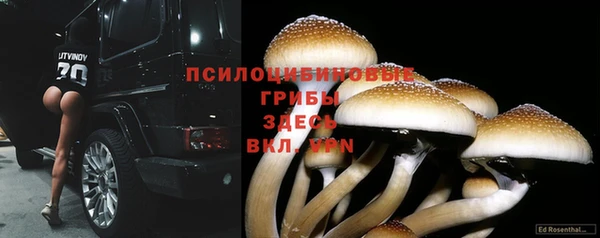 мескалин Арсеньев