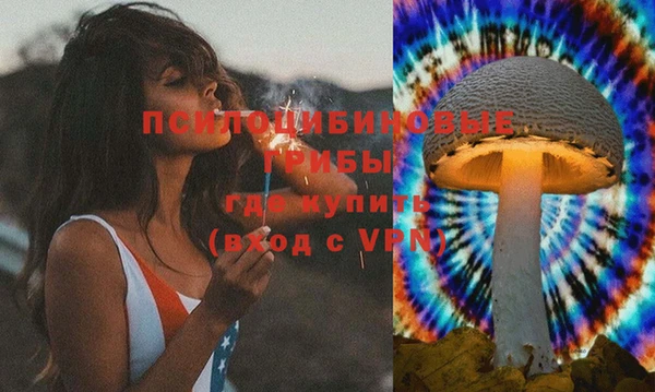 мескалин Арсеньев